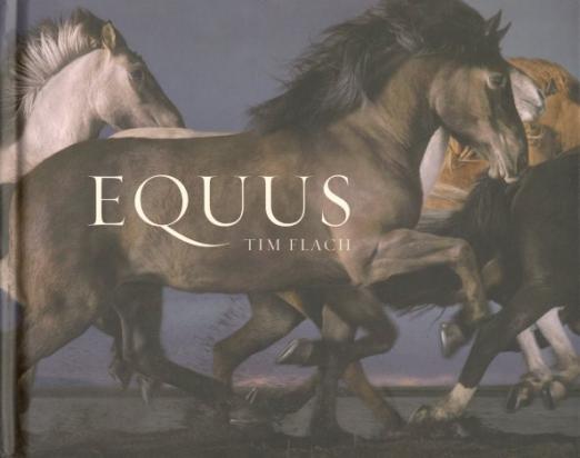 Equus