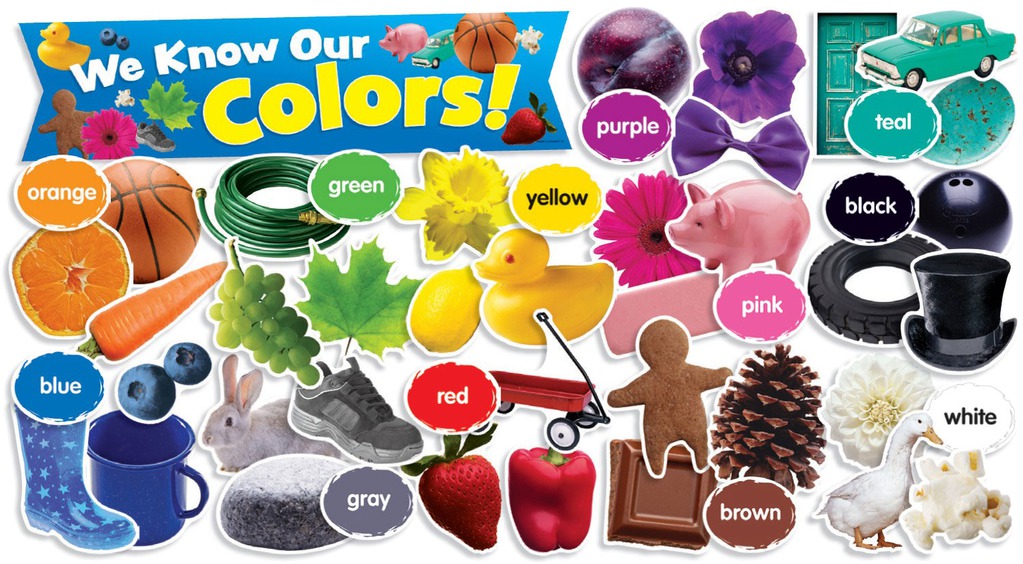 We Know Our Colors Mini Bulletin Board Set (49 cards)