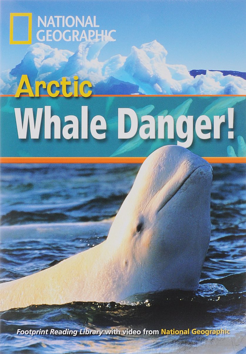 Arctic Whale Danger!