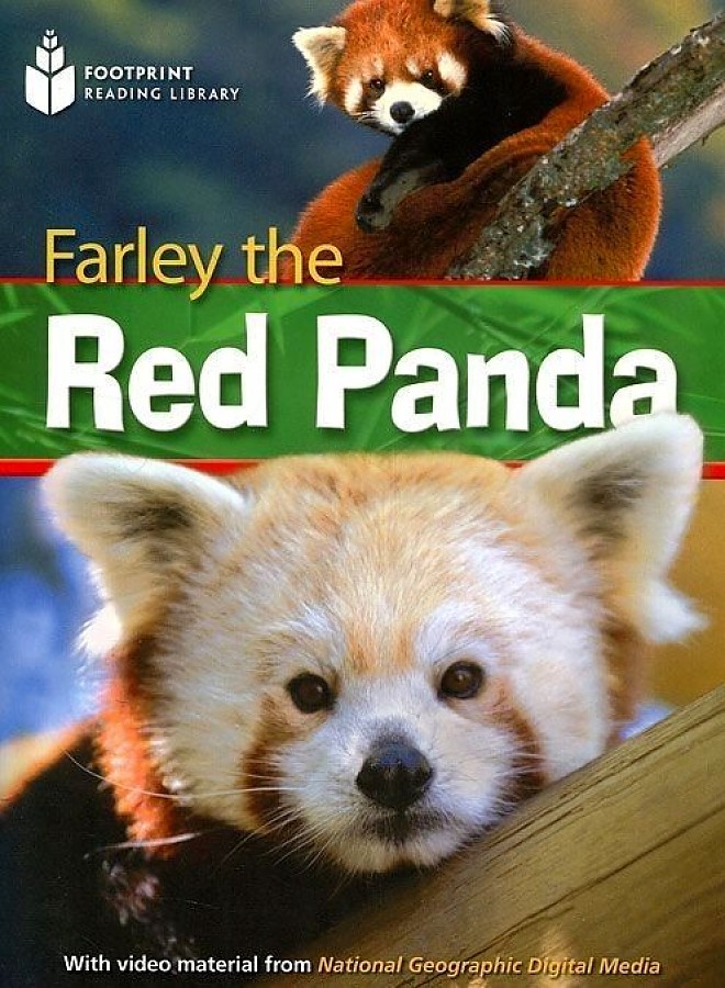 Farley the Red Panda