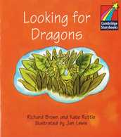 Looking for Dragons