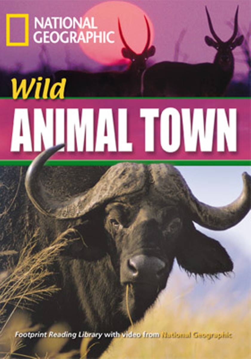 Wild Animal Town
