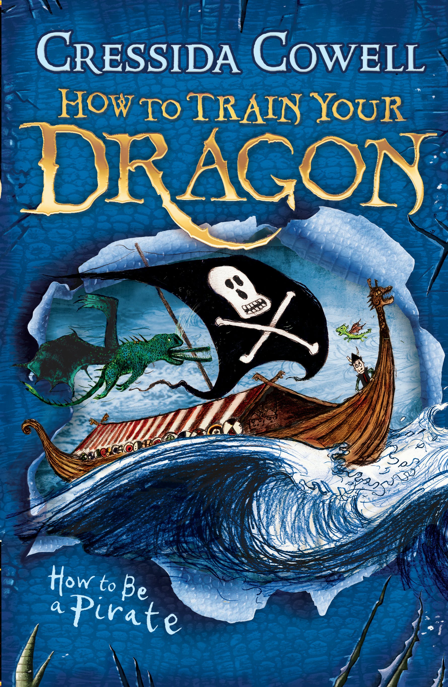 How To Train Your Dragon: How to be a Pirate