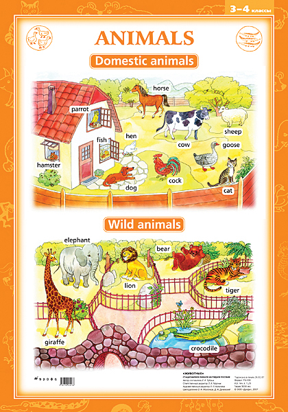Animals. 3-4 классы / Односторонний плакат (английский язык)