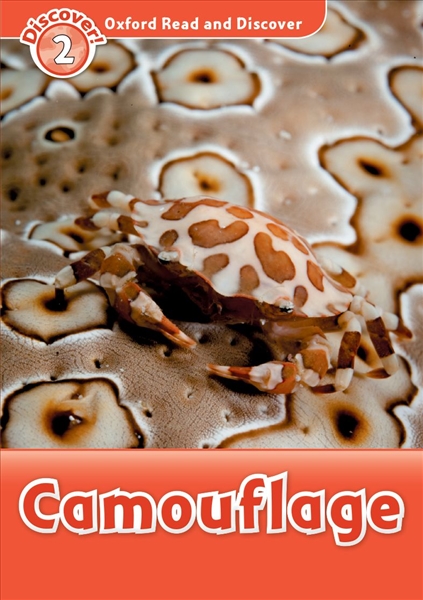 Camouflage - 1