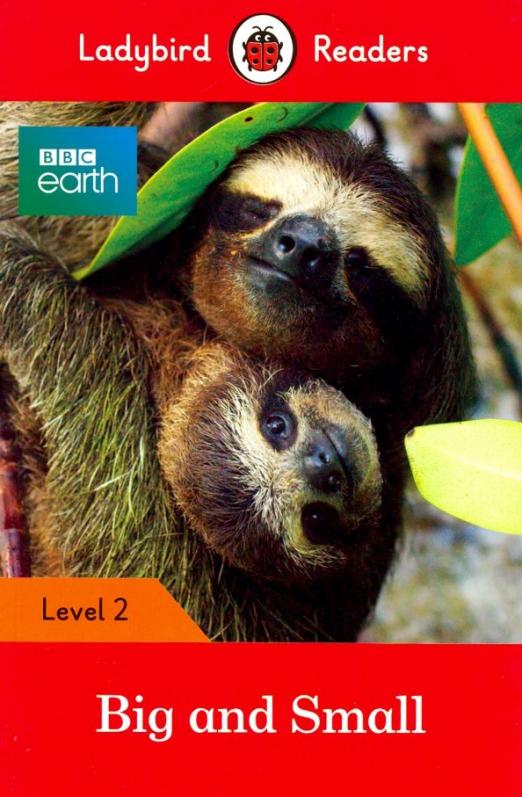 BBC Earth. Big and Small + downloadable audio