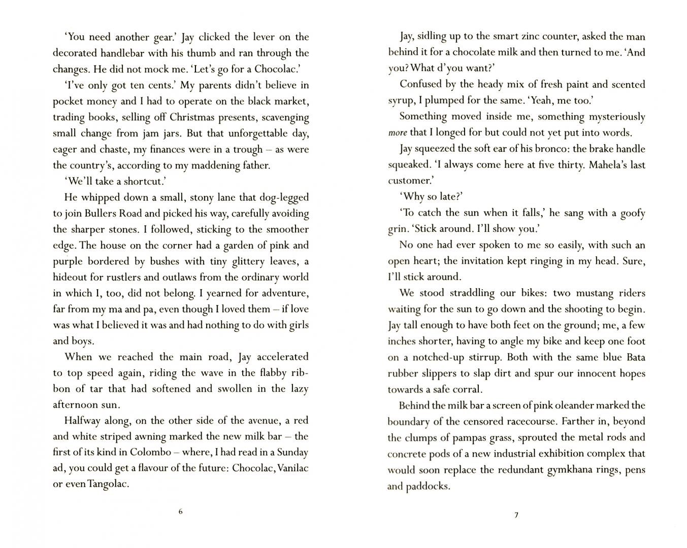 Suncatcher Gunesekera Romesh купить в интернетмагазине Дельтабук