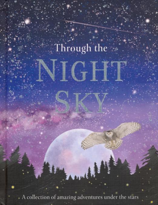 Through the Night Sky