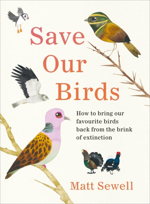 Save Our Birds. How to bring our favourite birds back from the brink of extinction