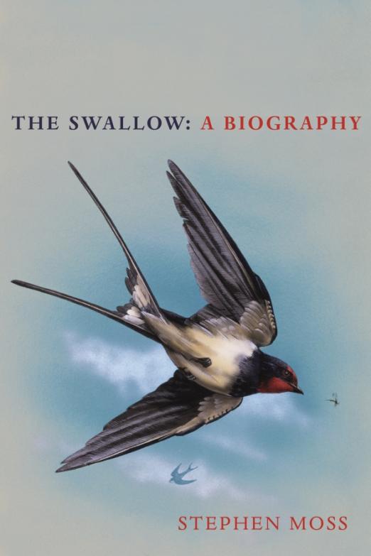 The Swallow. A Biography