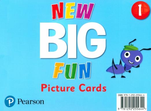 New Big Fun 1 Picture Cards / Лексические карточки