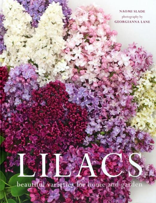 Lilacs. Beautiful varieties for home and garden