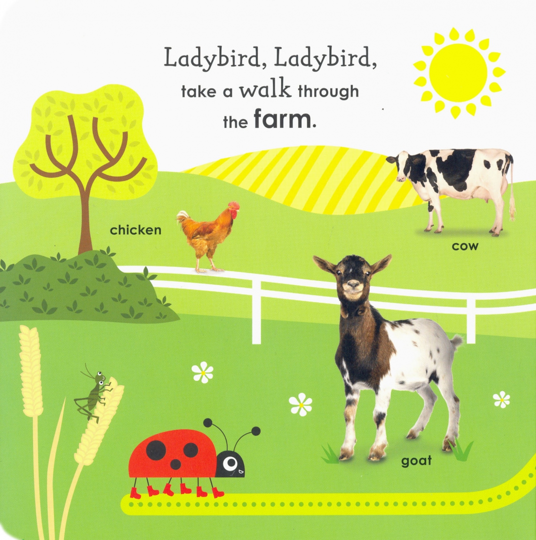 First Words with a Ladybird - купить в интернет-магазине Дельтабук