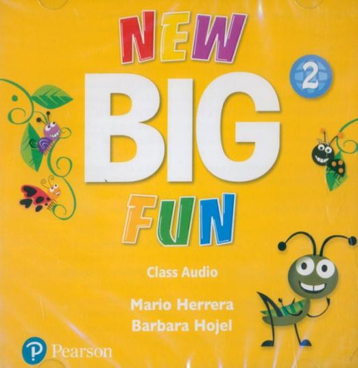 New Big Fun 2 Class CD / Диск