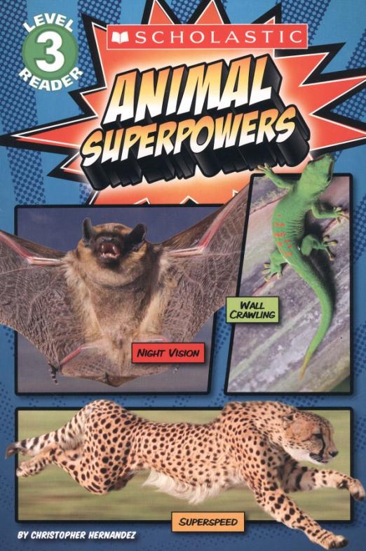 Animal Superpowers. Level 3