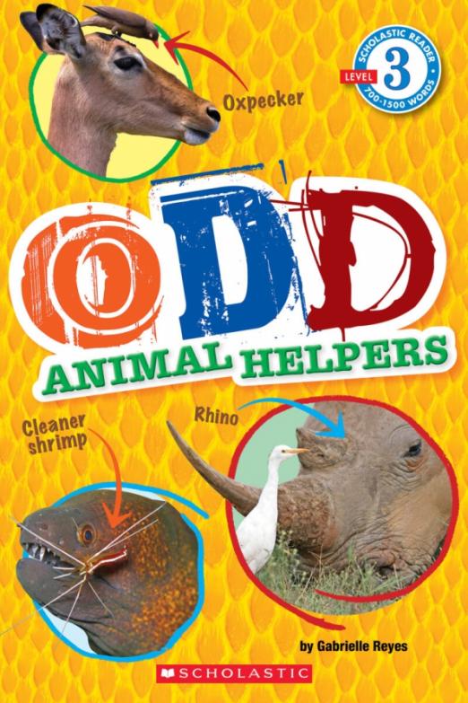 Odd Animal Helpers. Level 3