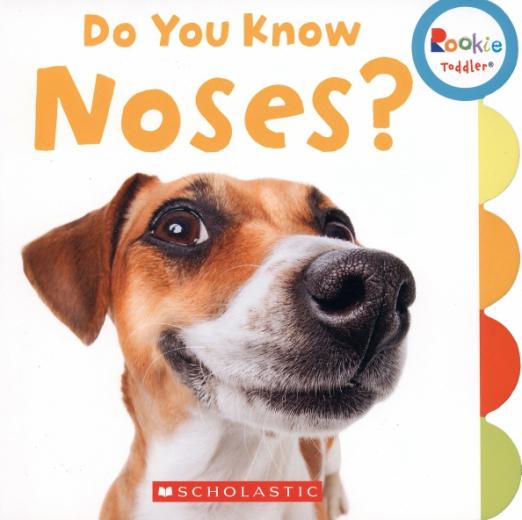 Do You Know Noses?