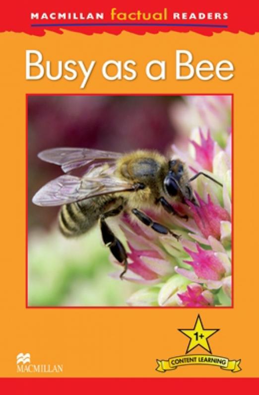 Mac Fact Read.  Busy as a Bee