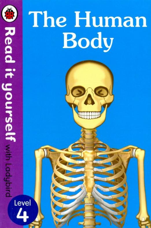 The Human Body 4