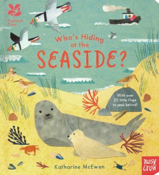 Who's Hiding at the Seaside?