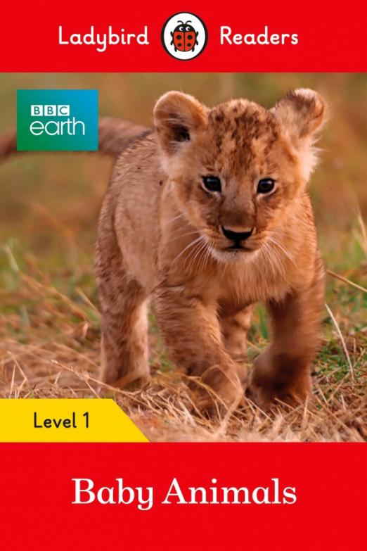 BBC Earth Baby Animals Level 1
