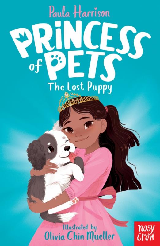 The Lost Puppy Princess Pets