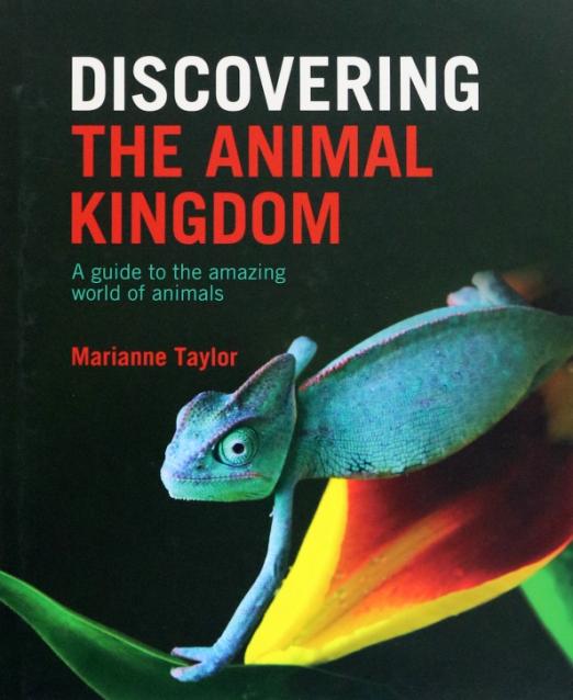 Discovering The Animal Kingdom. A guide to the amazing world of animals