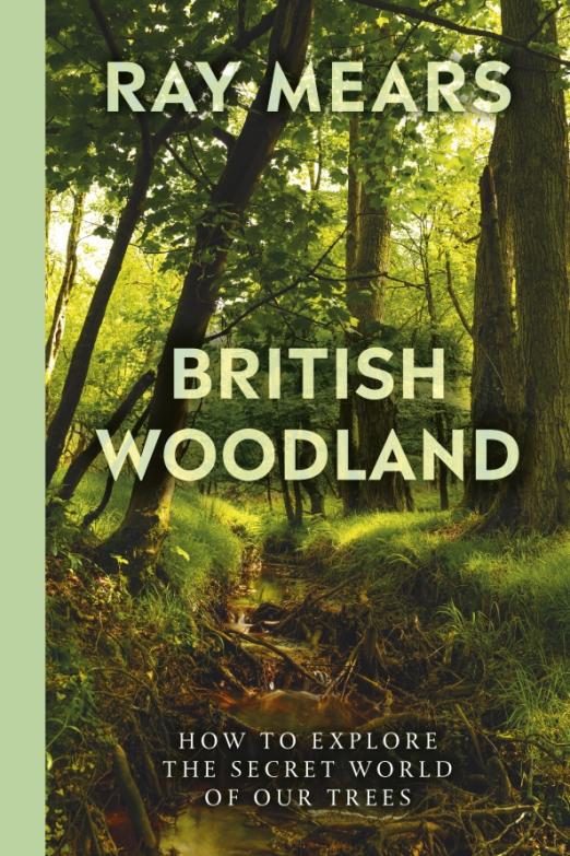 British Woodland. How to explore the secret world of our forests