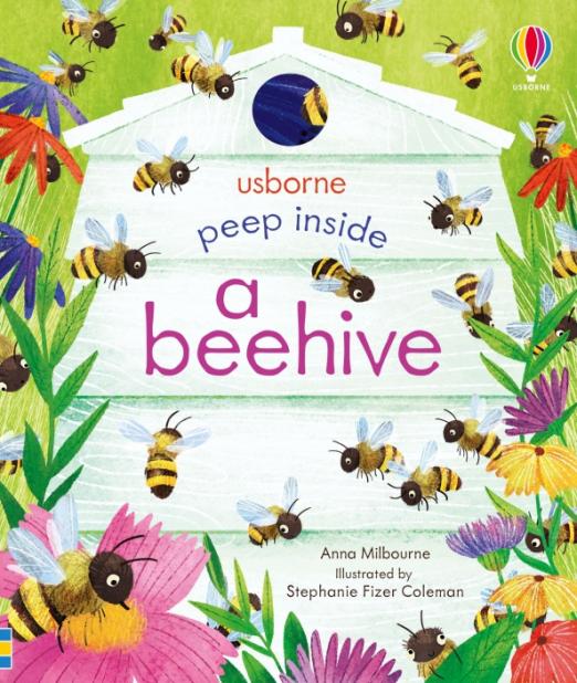 Peep Inside a Beehive