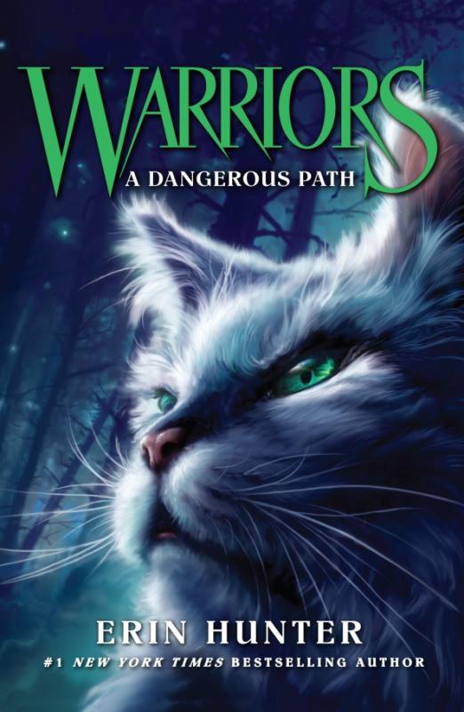 Warrior Cats A Dangerous Path