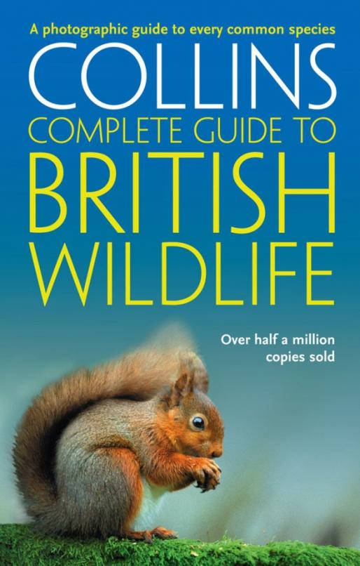 British Wildlife. A photographic guide to every common species