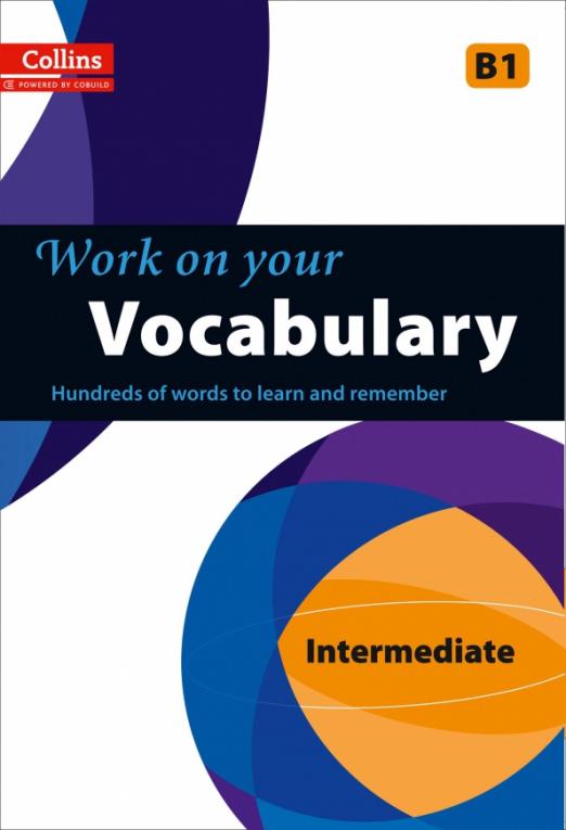 Work on Your Vocabulary. B1