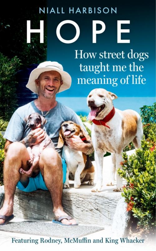 Hope – How Street Dogs Taught Me the Meaning of Life. Featuring Rodney, McMuffin and King Whacker