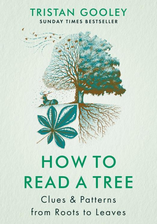 How to Read a Tree. Clues & Patterns from Roots to Leaves