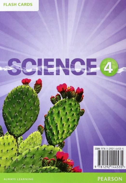 Big Science 4 Flashcards / Карточки
