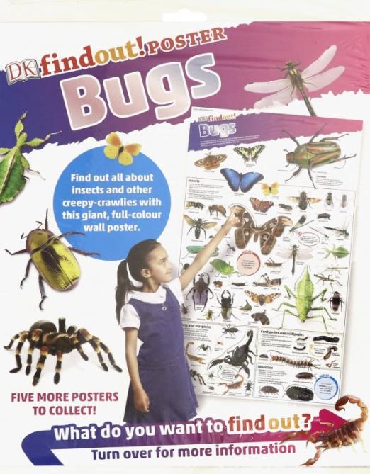 DKfindout! Bugs Poster