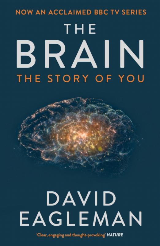 The Brain. The Story of You